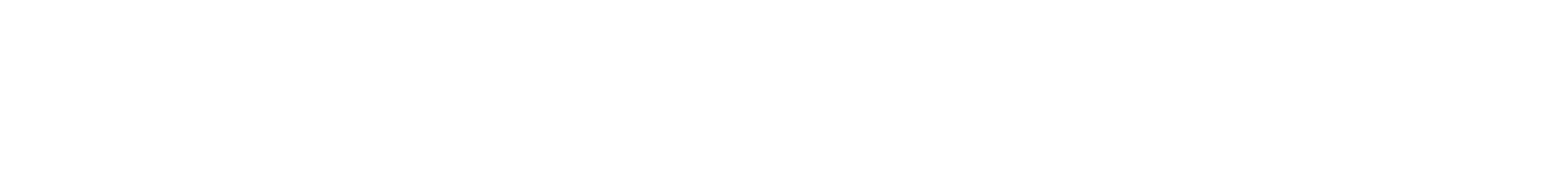 Lead Pro